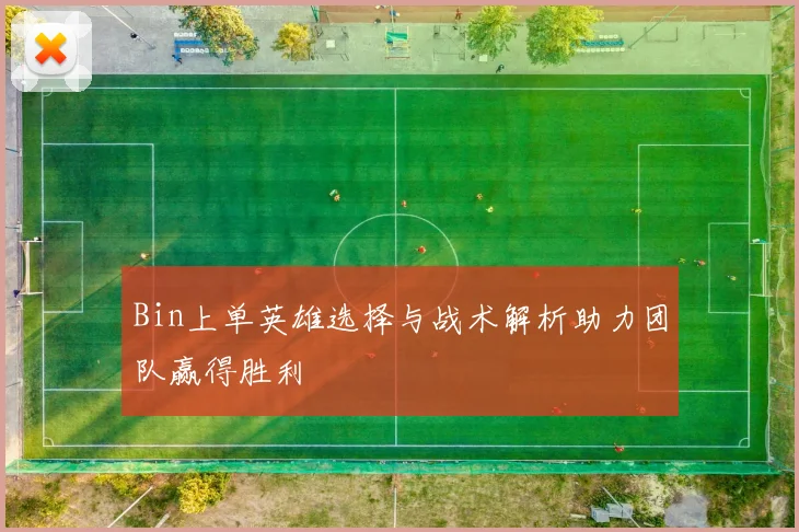 Bin上单英雄选择与战术解析助力团队赢得胜利