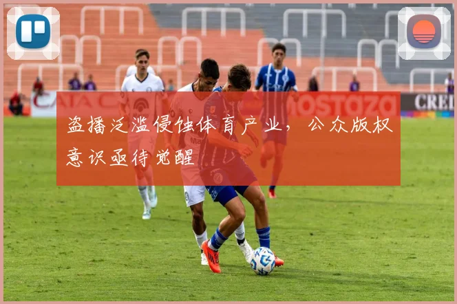盗播泛滥侵蚀体育产业，公众版权意识亟待觉醒
