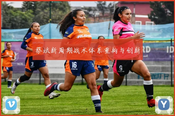 蔡斌新周期战术体系重构与创新