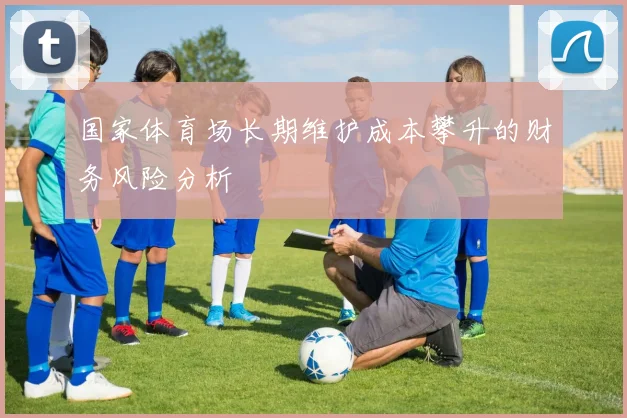 国家体育场长期维护成本攀升的财务风险分析